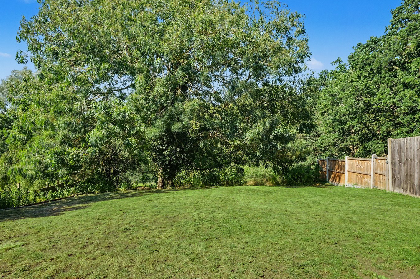 Main Road, Danbury, Chelmsford, CM3, photo 18