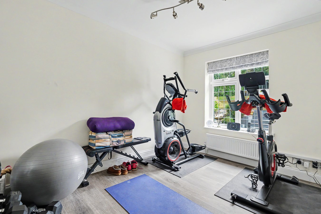 Fir Tree Lane, Little Baddow, Chelmsford, CM3, photo 8