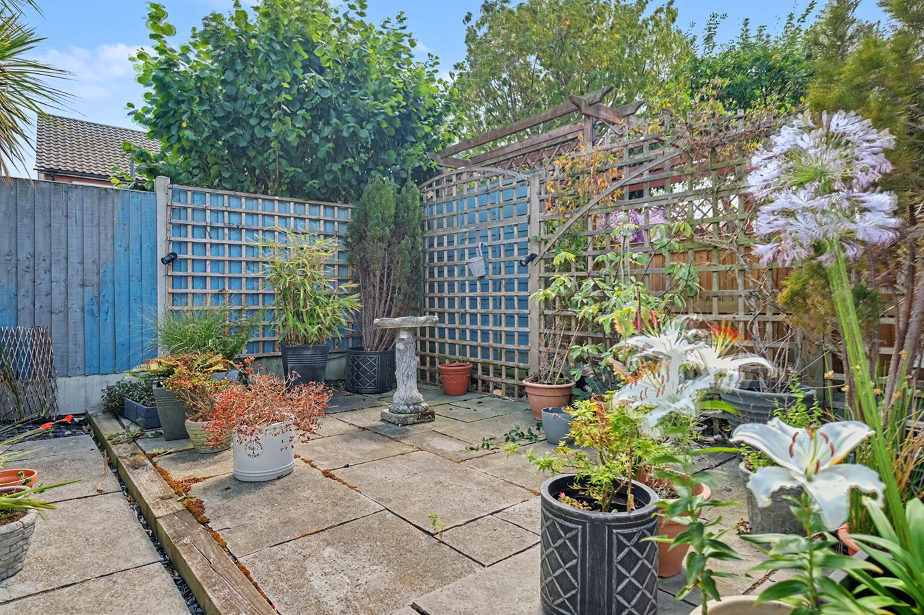 Alder Drive, Moulsham Lodge, Chelmsford, CM2, photo 13