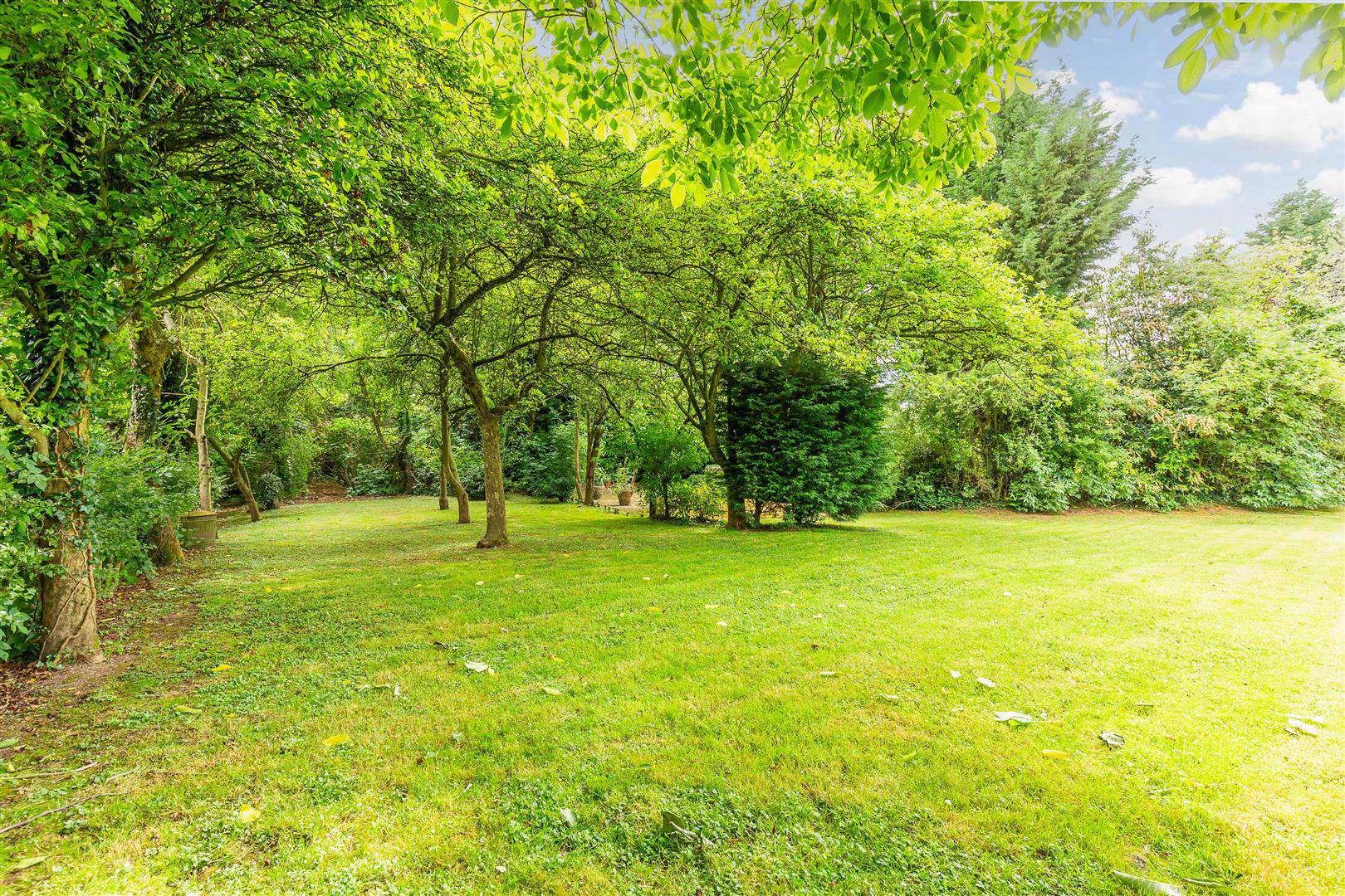 The Yews, Firbeck, Worksop, photo 36