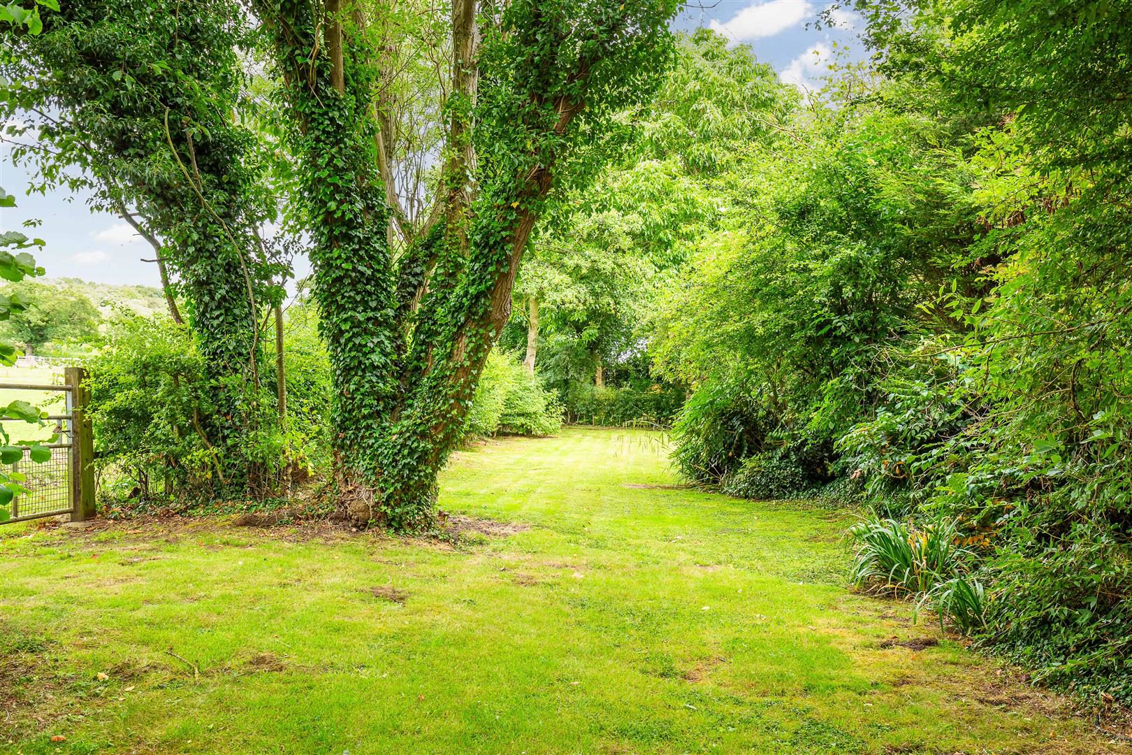 The Yews, Firbeck, Worksop, photo 40