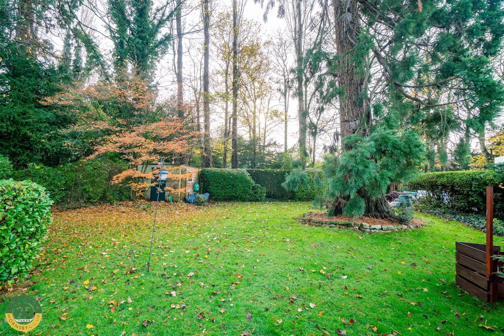 Park Drive, Sprotbrough, Doncaster, photo 46