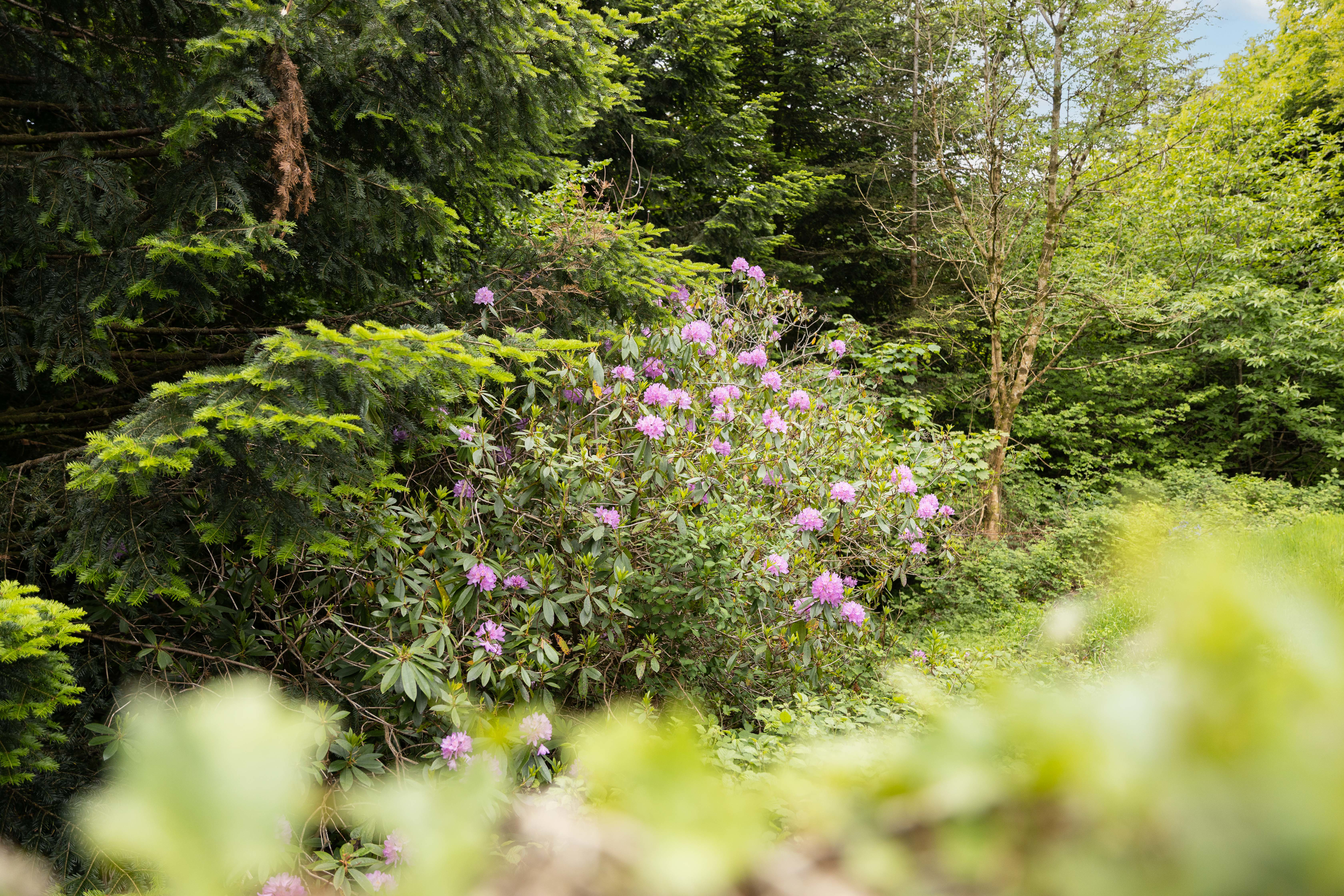 HawkstoneHouse-50