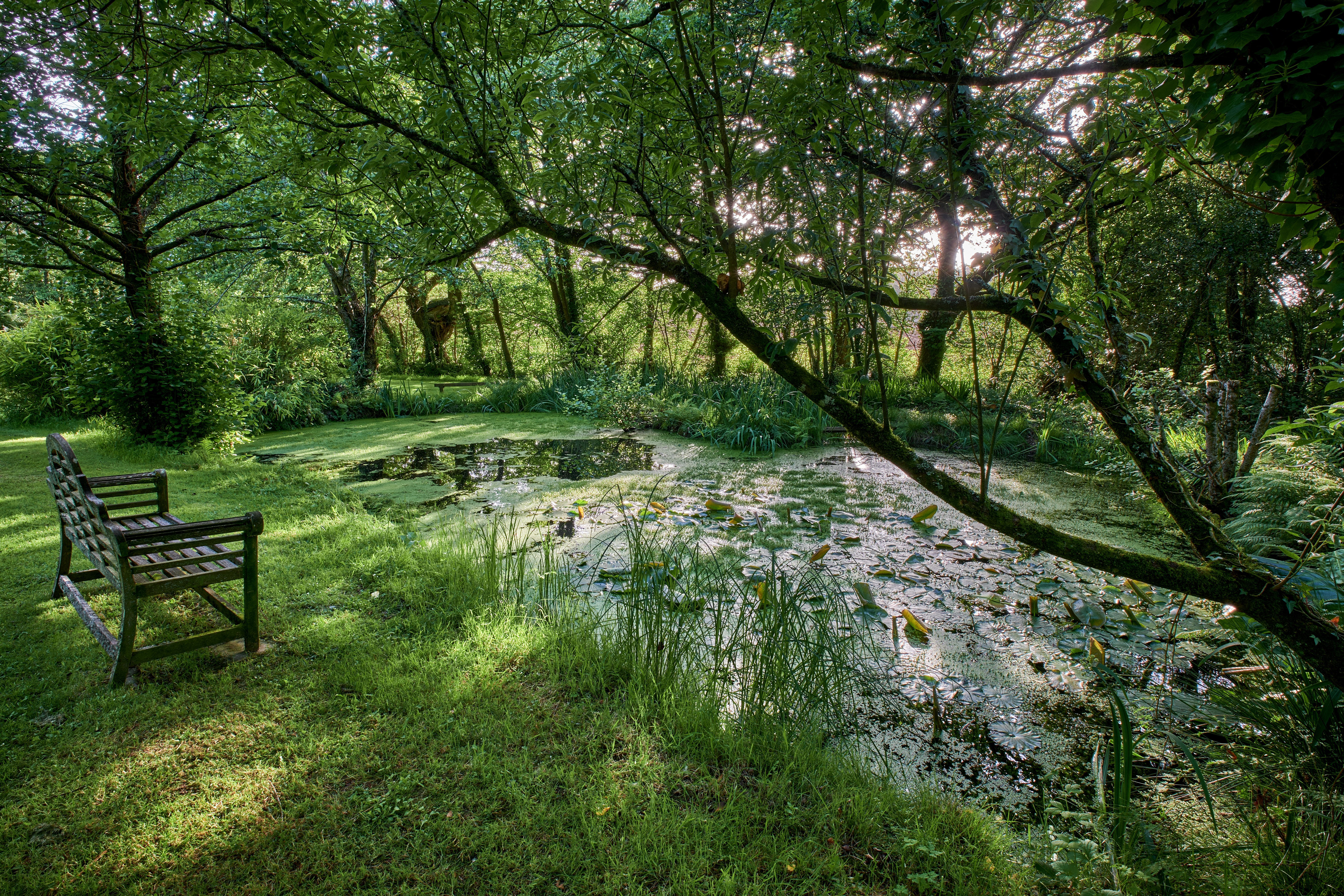 Clapper Bridge, Quethiock, PL12, photo 26