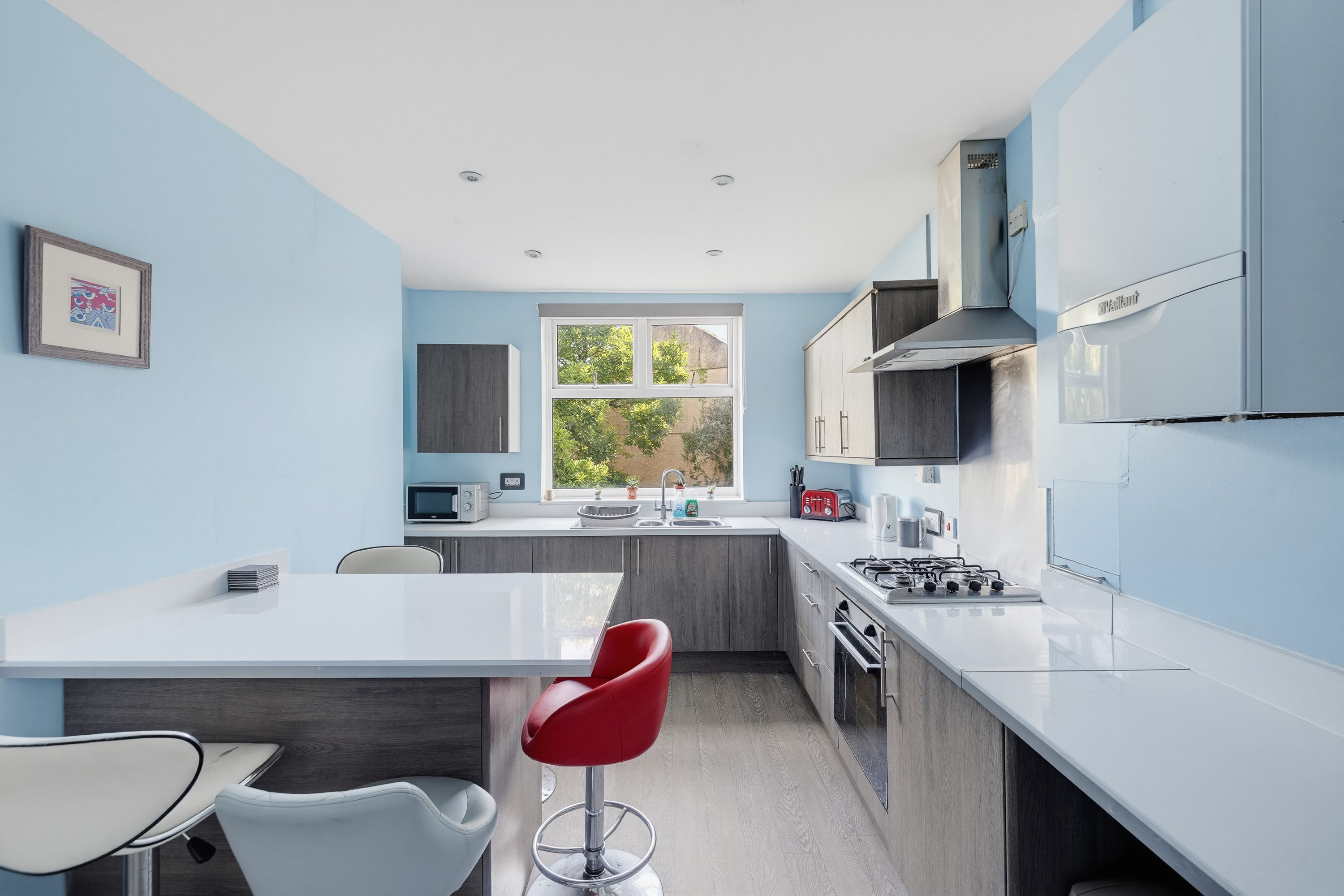 3 Alexandra Road, Mutley, Plymouth, photo 4