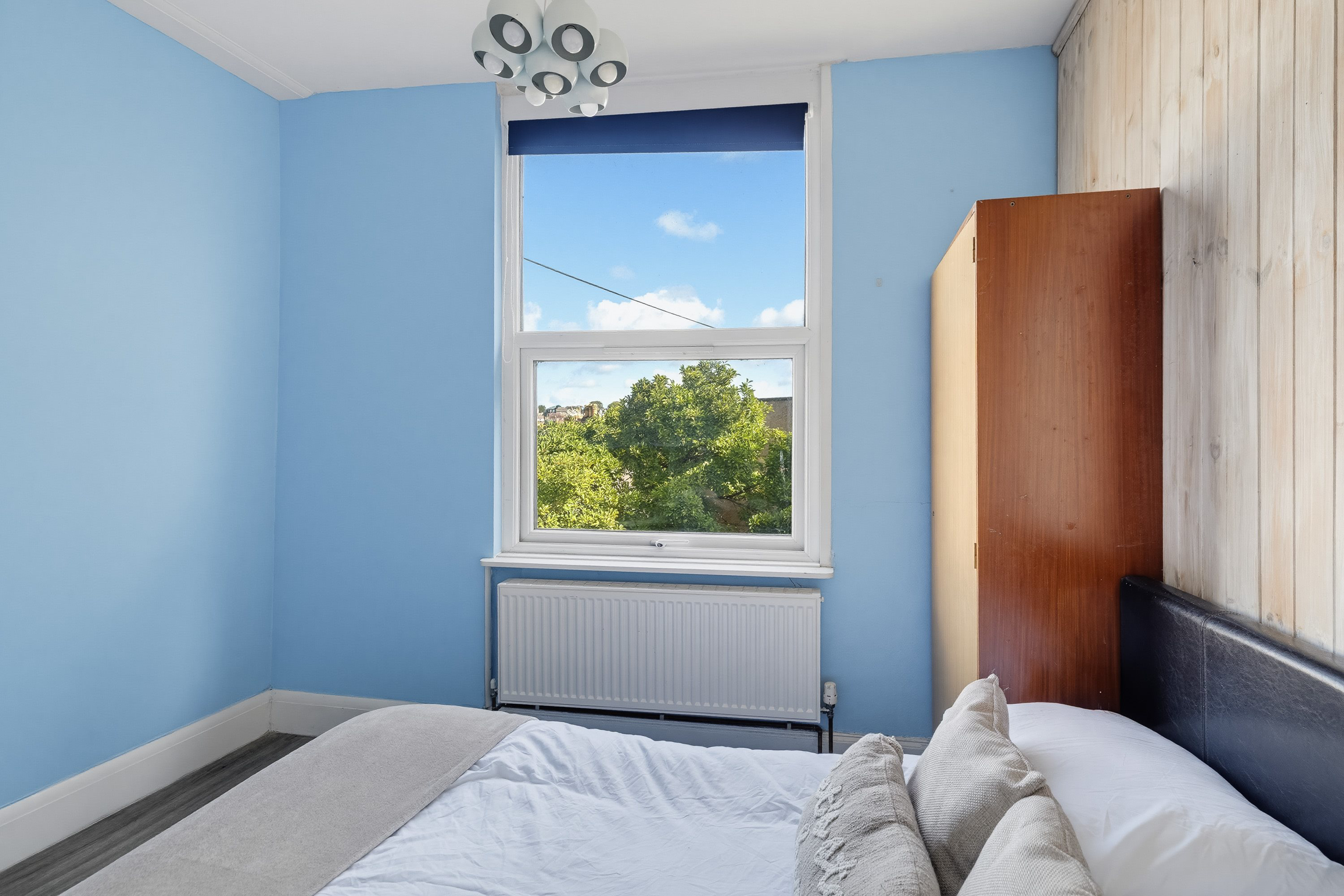 3 Alexandra Place, Mutley, Plymouth, photo 3