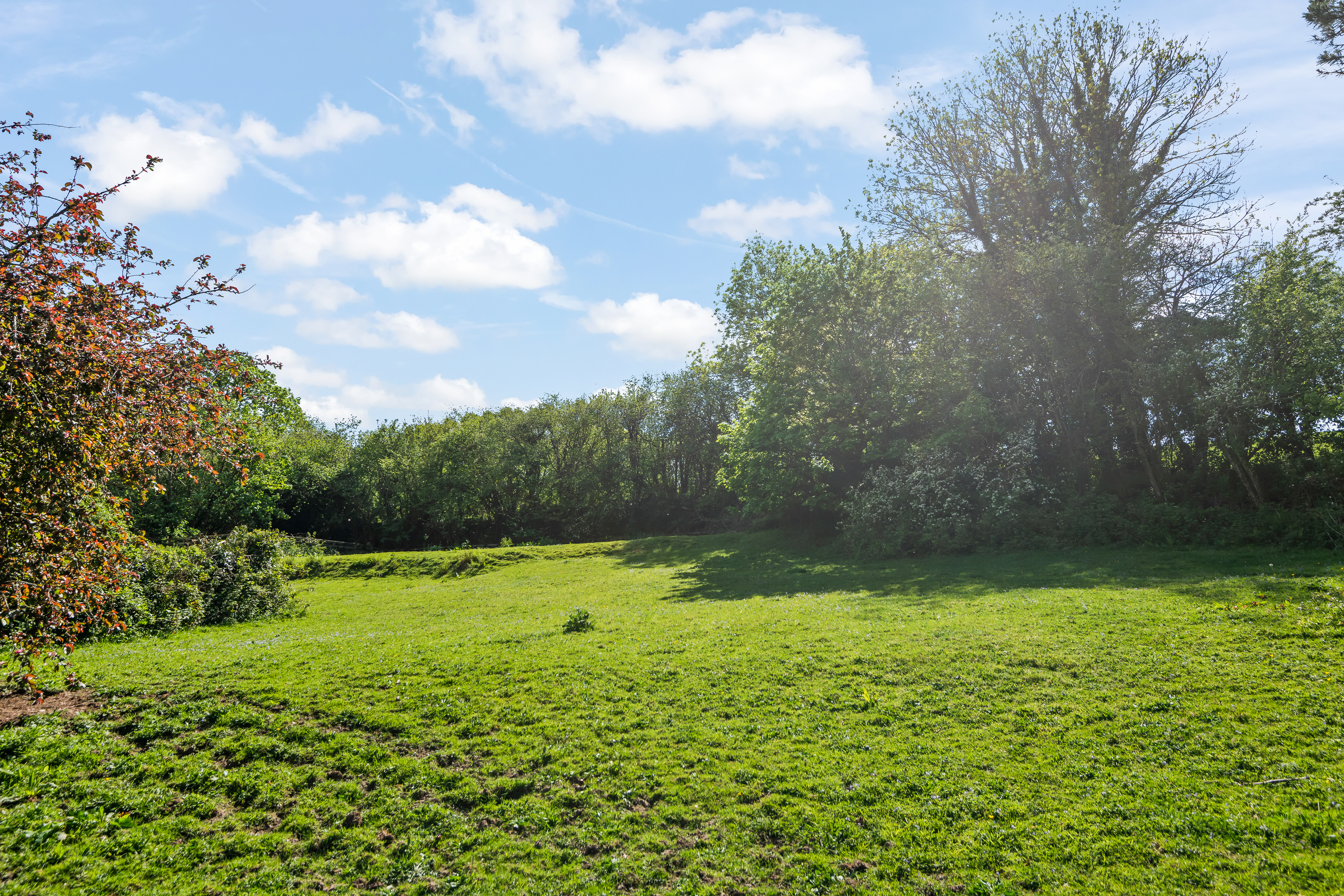 Lumburn, Tavistock, PL19, photo 33