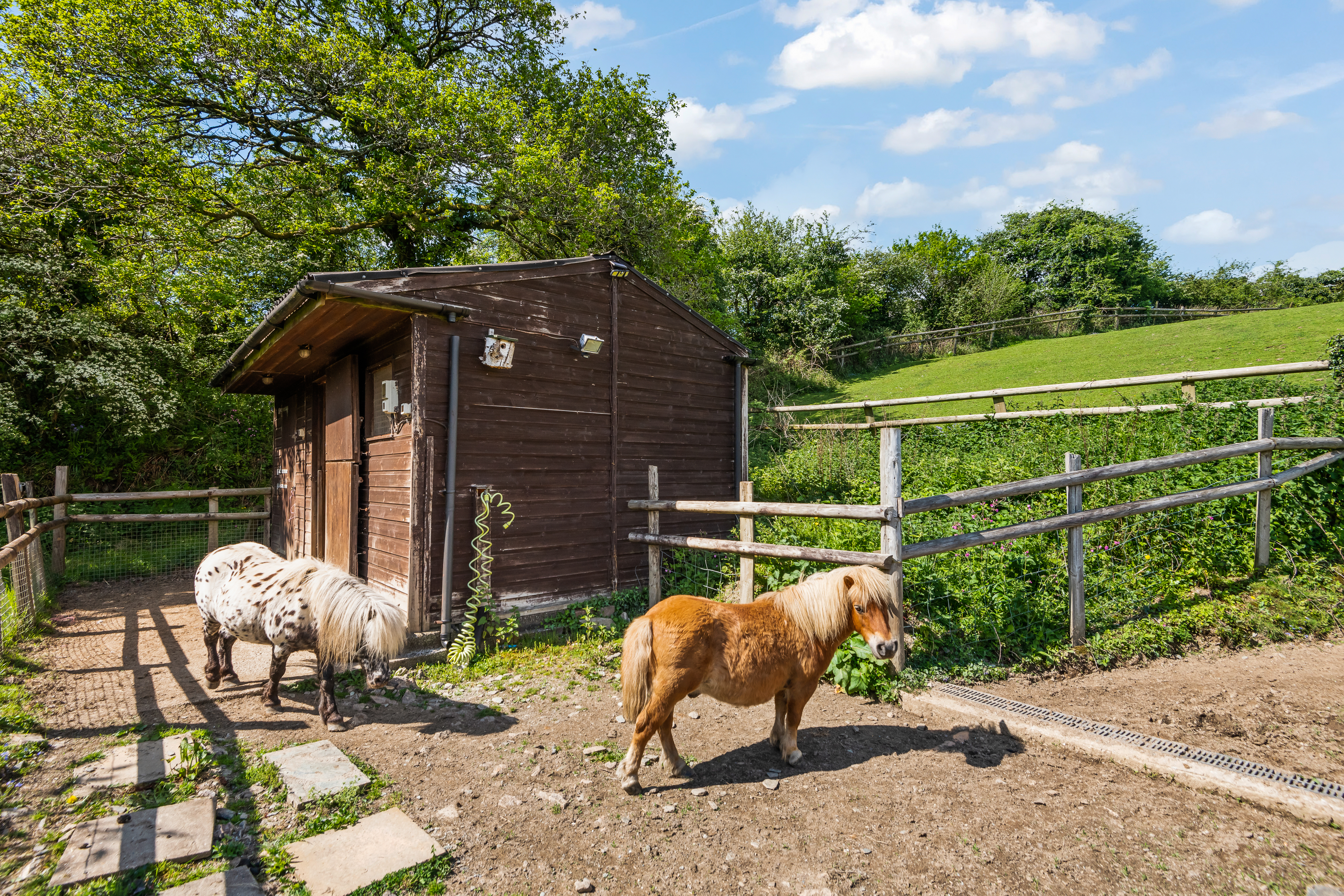 Lumburn, Tavistock, PL19, photo 29