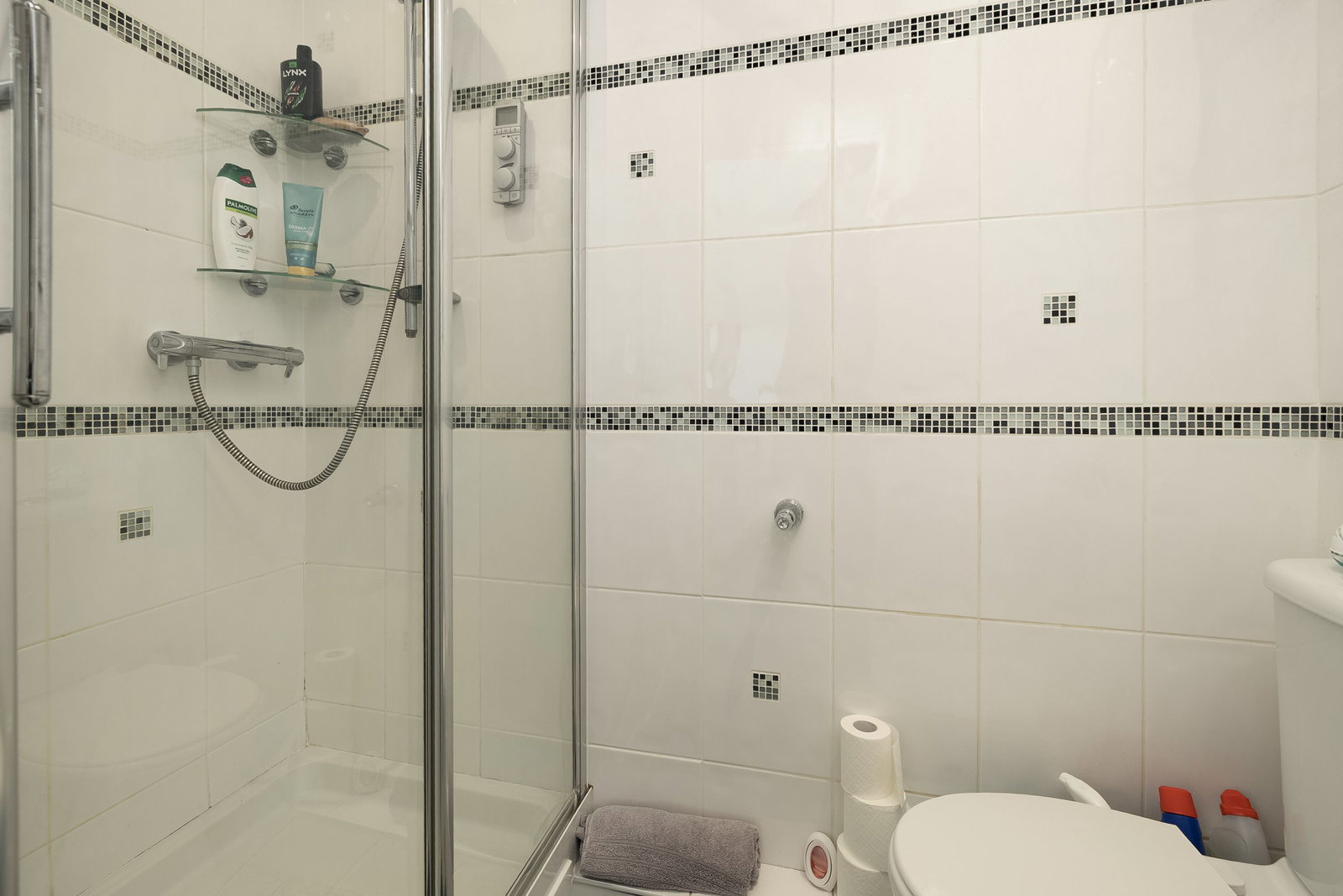 Hawthorn Way, Plymouth, PL3 6TP, photo 19