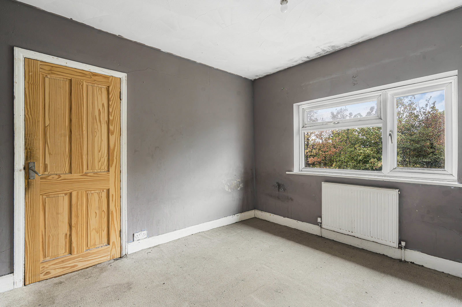 Woking Road, Guildford, Surrey, GU1, photo 5