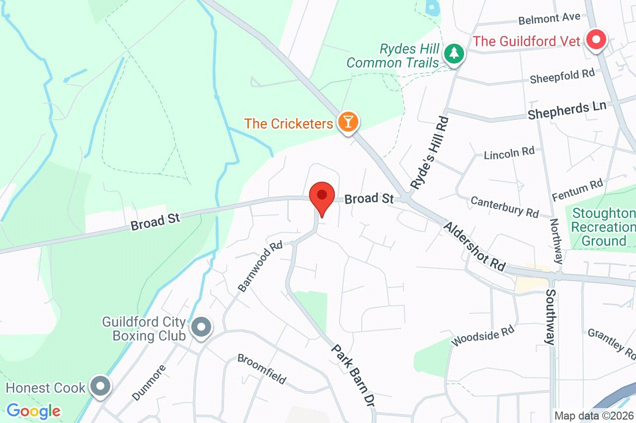 Broadacres, Guildford, Surrey, GU3, photo 31