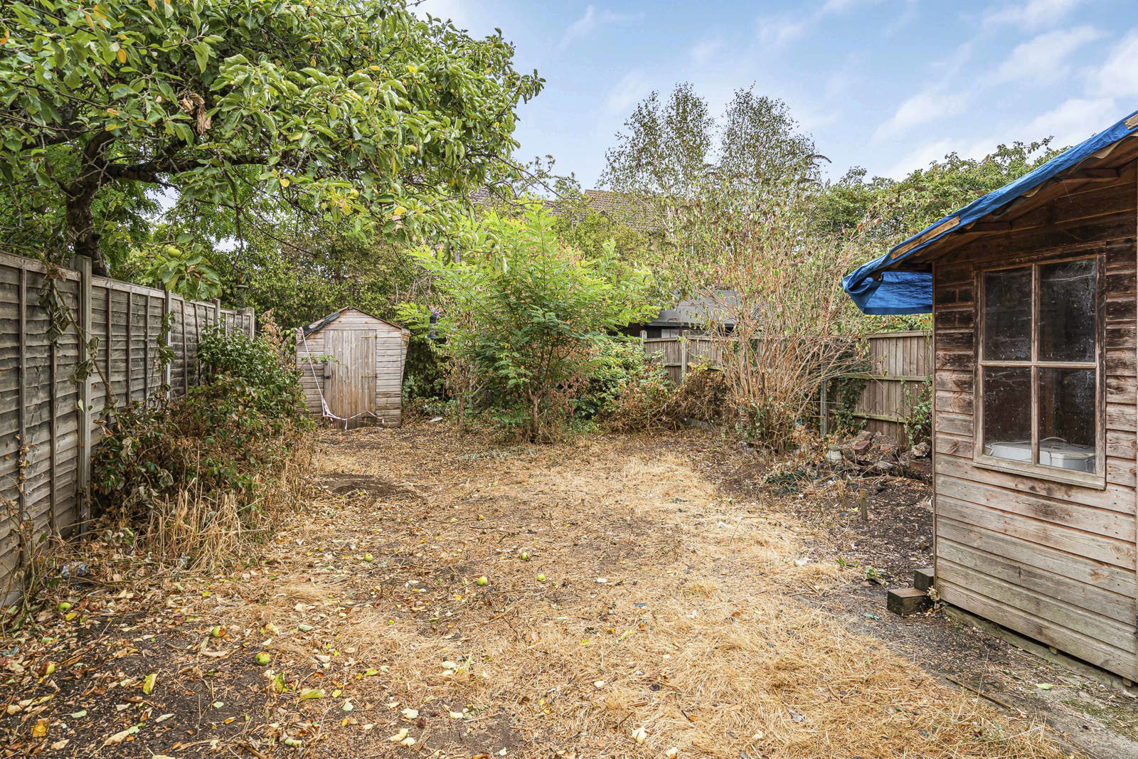 Woking Road, Guildford, Surrey, GU1, photo 19