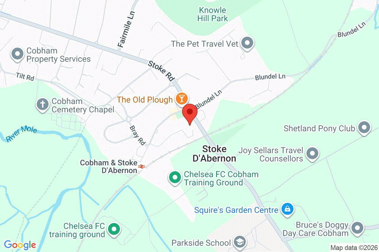 Winston Drive, Stoke D'abernon, Cobham, Surrey, KT11, photo 23