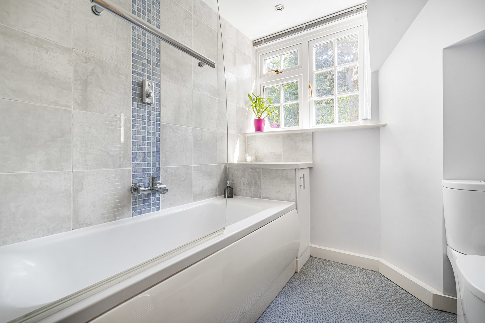Littleworth Road, The Sands, Farnham, Surrey, GU10, photo 12