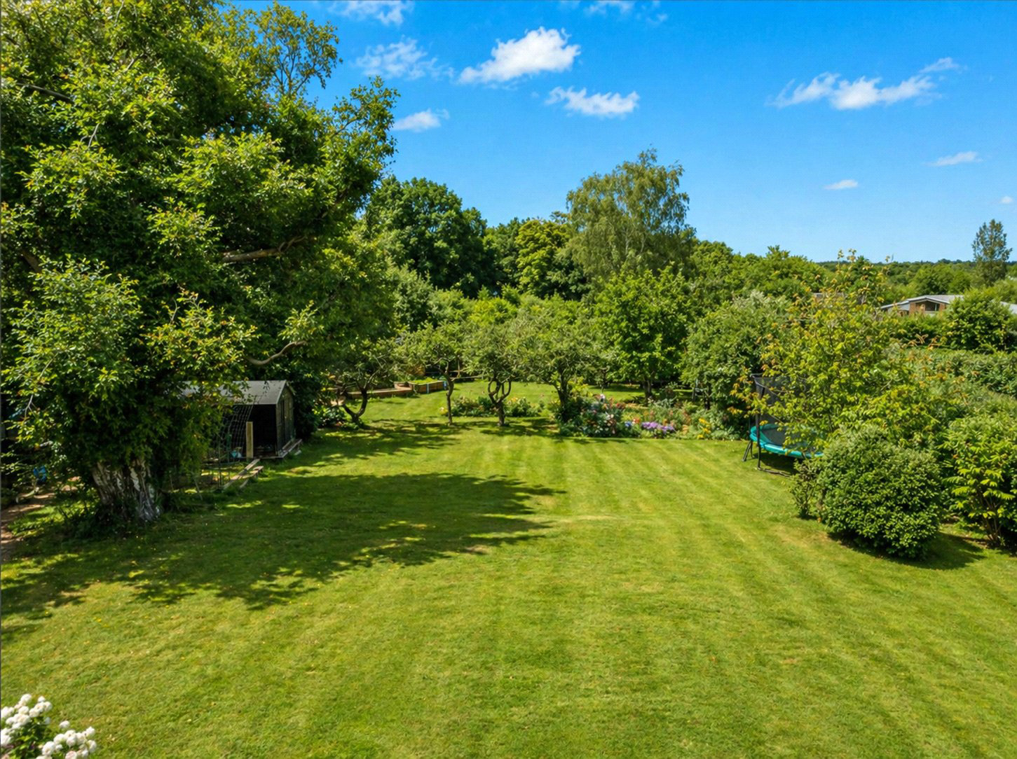 Forge Road, Kingsley, Hampshire, GU35, photo 5