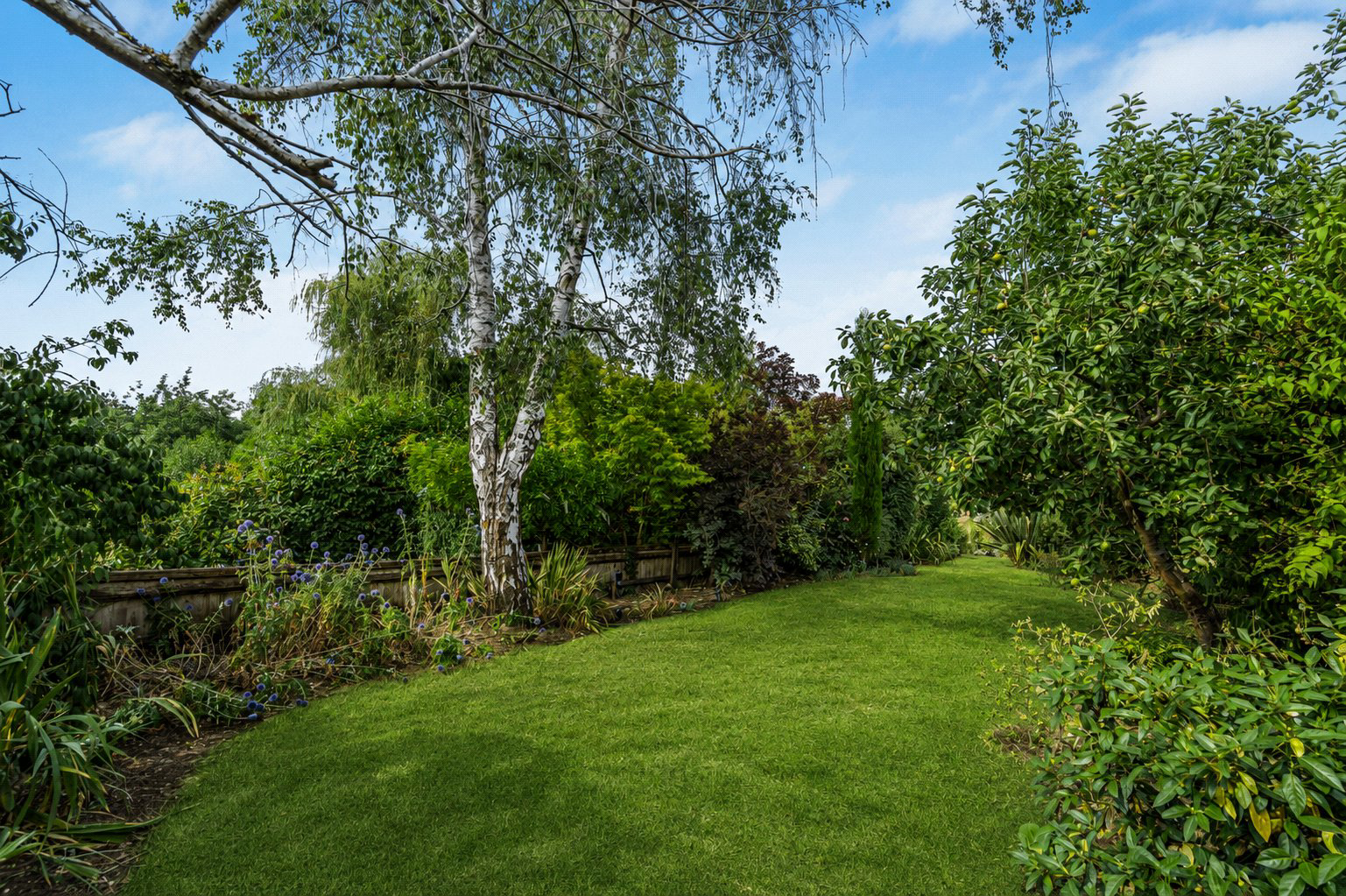 Sands Road, The Sands, Farnham, Surrey, GU10, photo 15