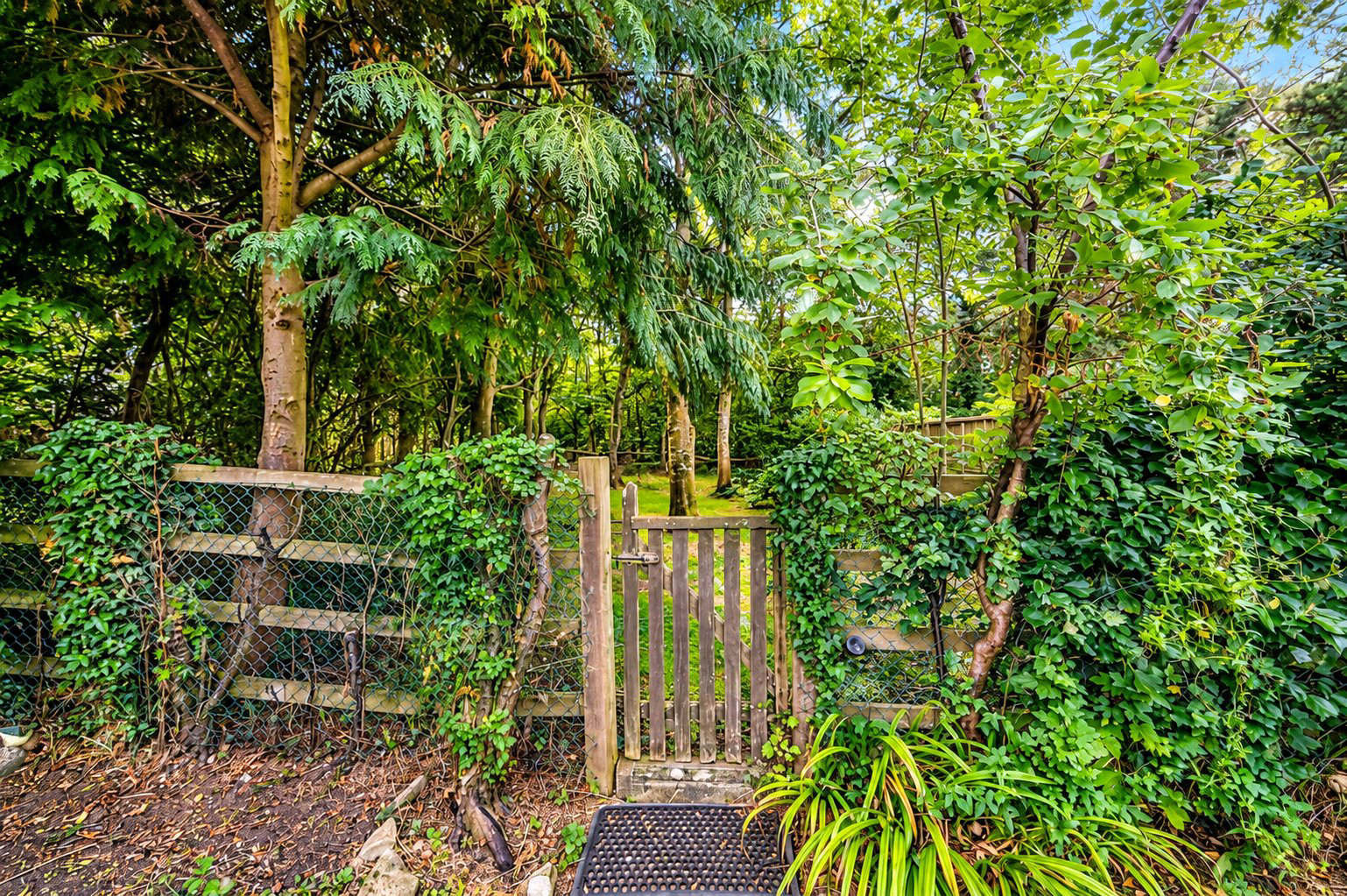 Howard Ridge, Burpham, Guildford, Surrey, GU4, photo 9