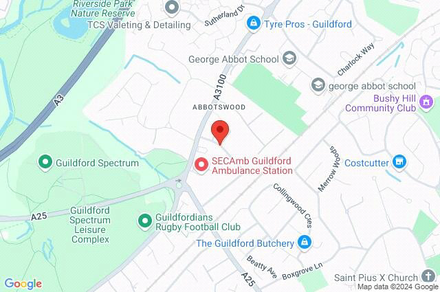 Google Maps Image