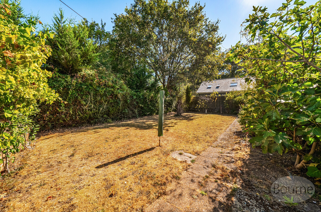 Sunnyhill, Witley, Godalming, Surrey, GU8, photo 11