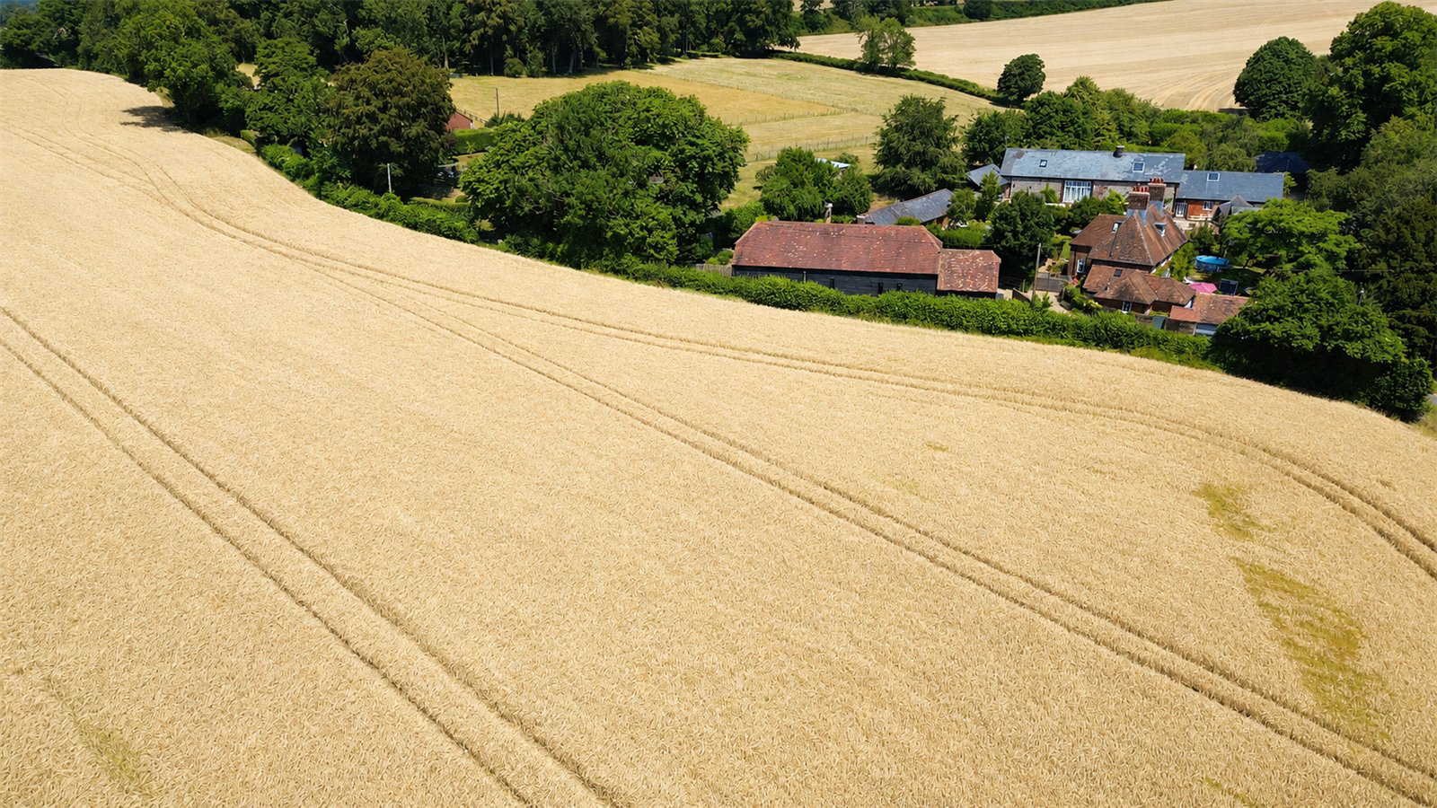 Bowers Grove Lane, Ropley, Alresford, Hampshire, SO24, photo 10