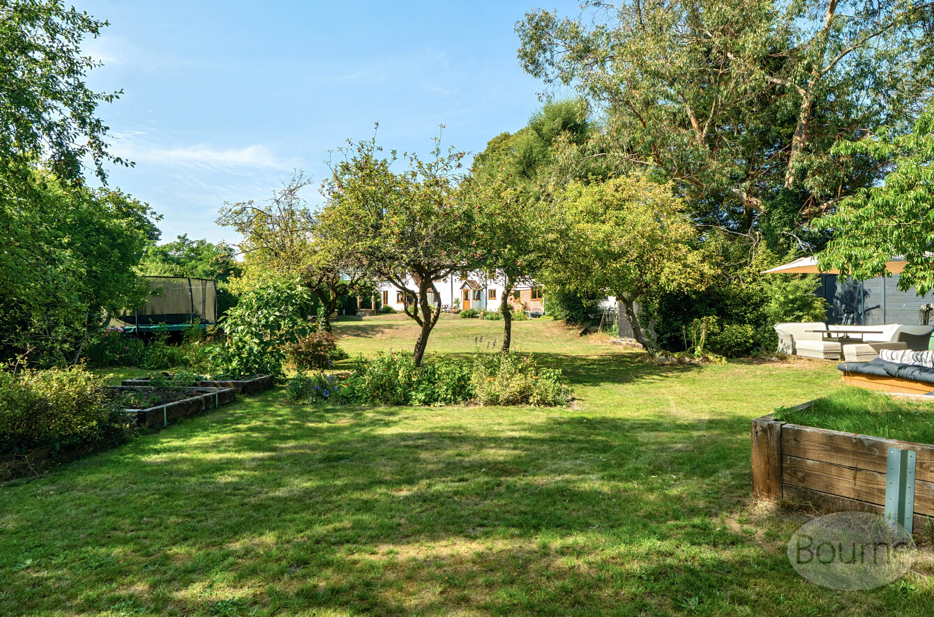 Forge Road, Kingsley, Hampshire, GU35, photo 10