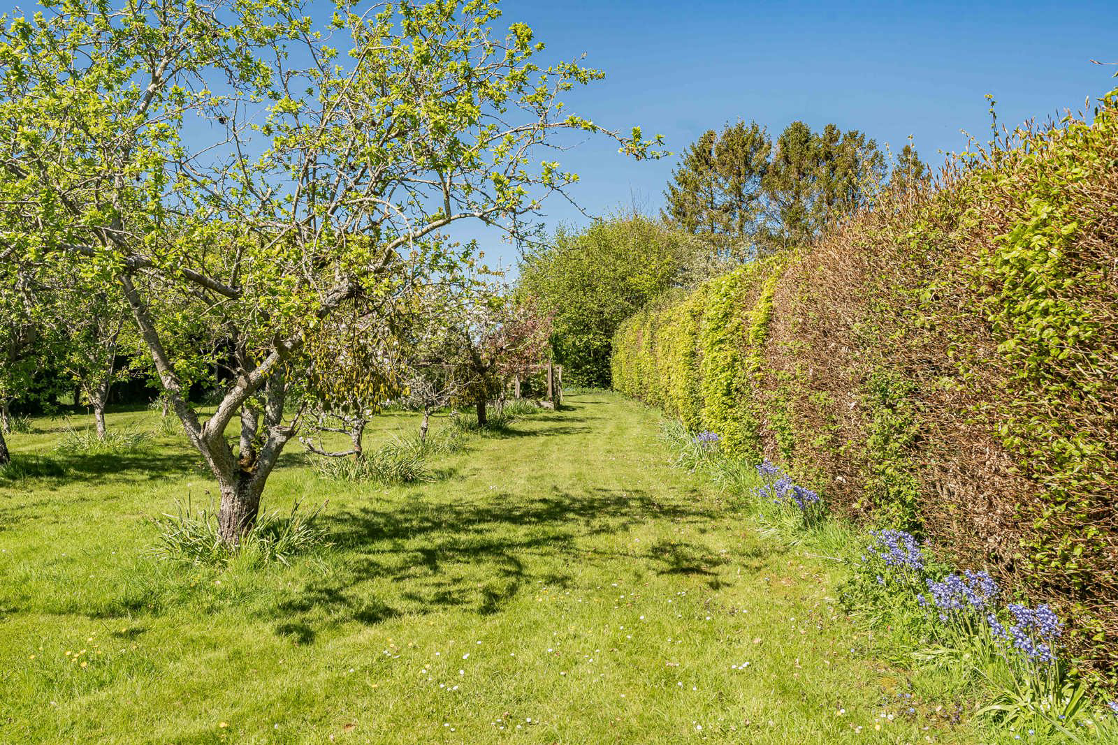 Gascoigne Lane, Ropley, Alresford, Hampshire, SO24, photo 6