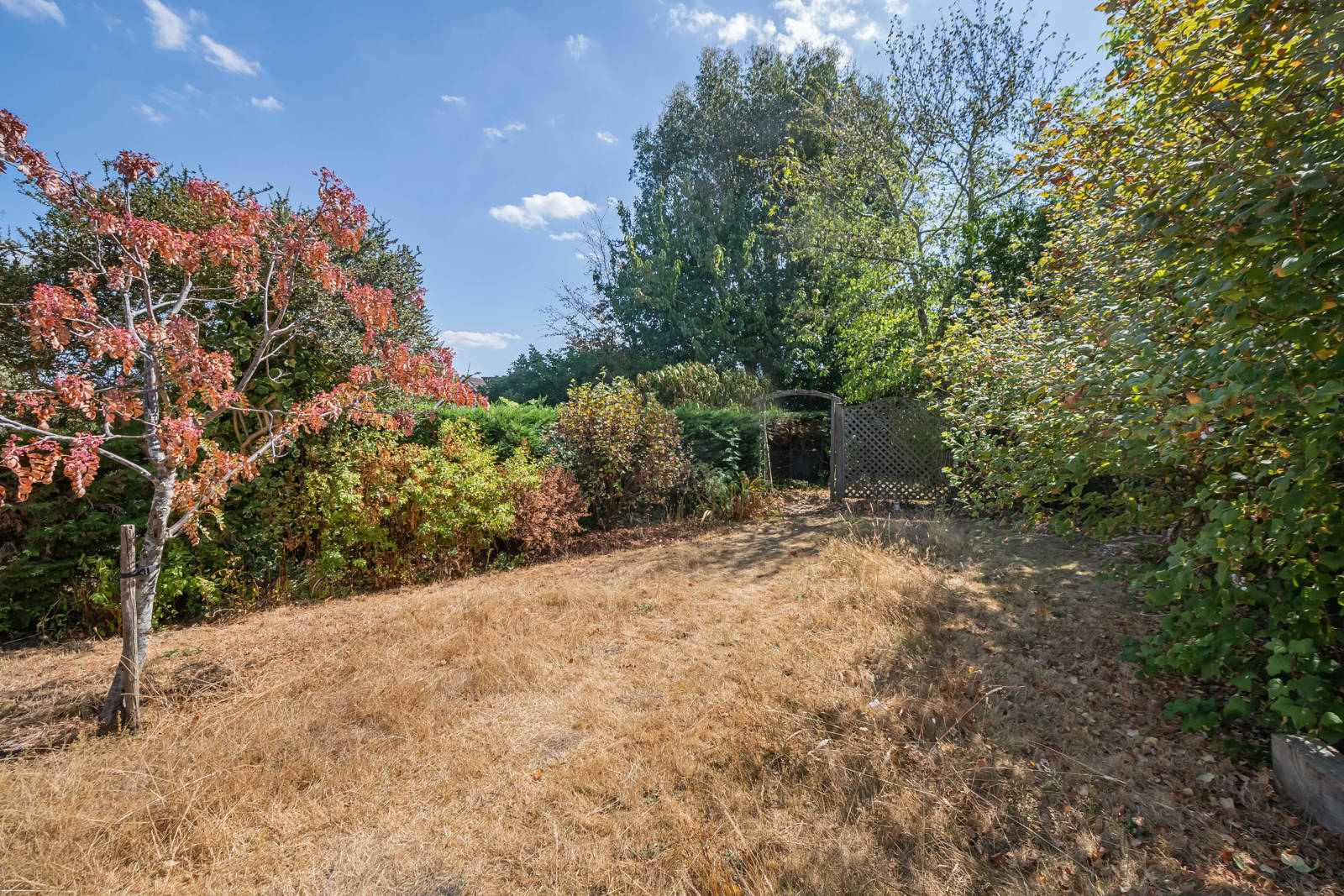 Copse Avenue, Farnham, Surrey, GU9, photo 9