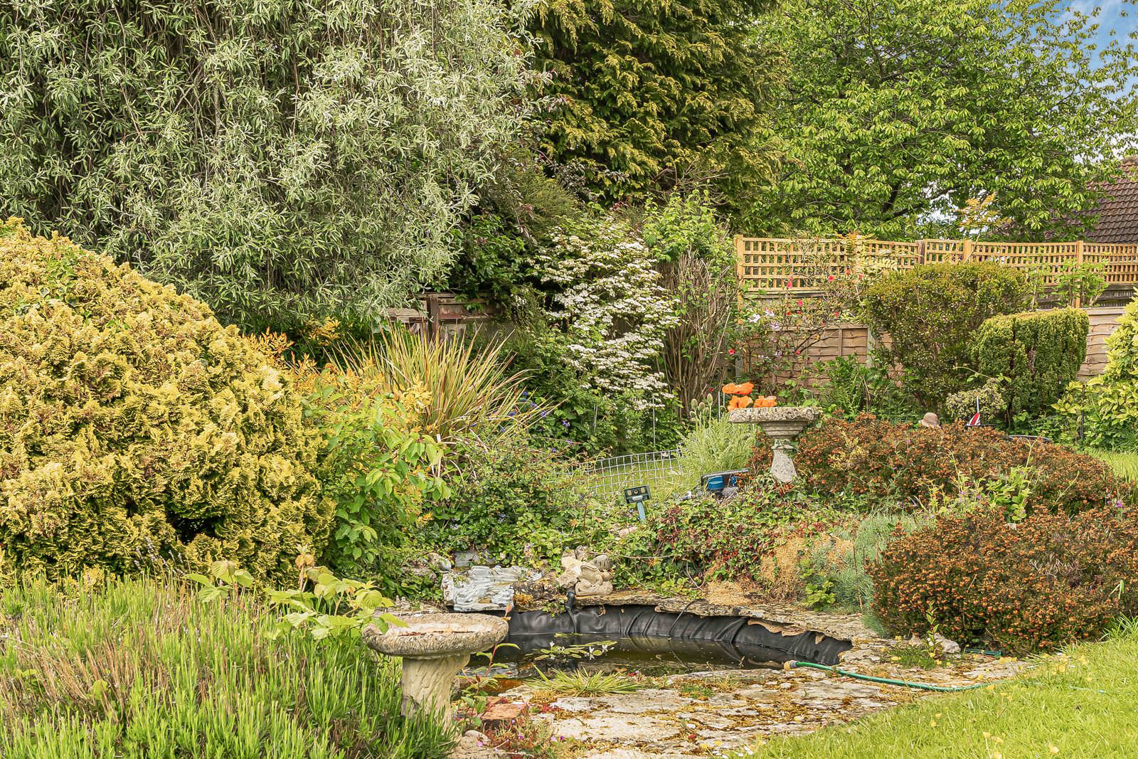 Thorn Lane, Four Marks, Alton, Hampshire, GU34, photo 13