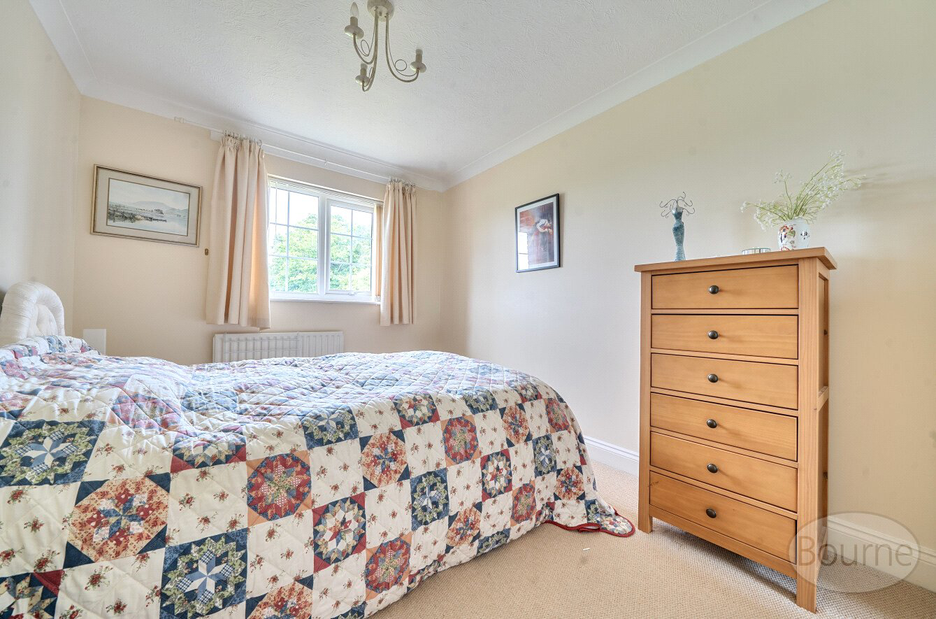 Sussex Road, Petersfield, Hampshire, GU31, photo 7