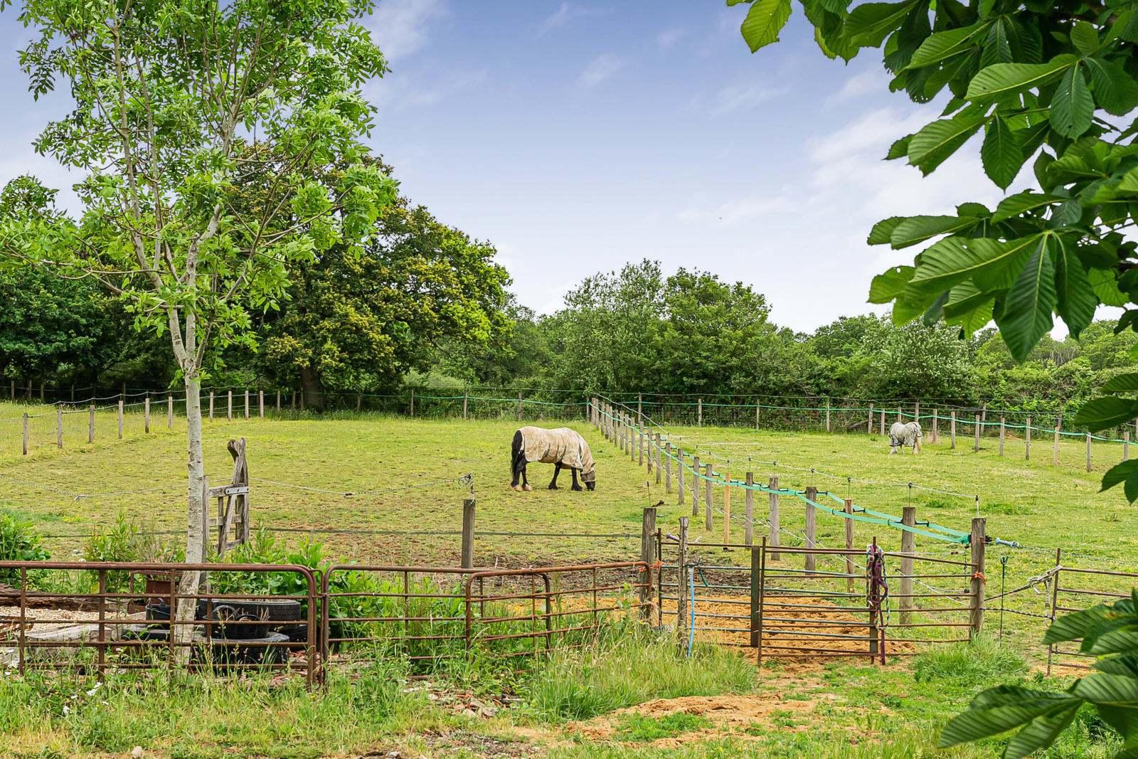 Manor Farm Mews, Dockenfield, Farnham, Surrey, GU10, photo 16