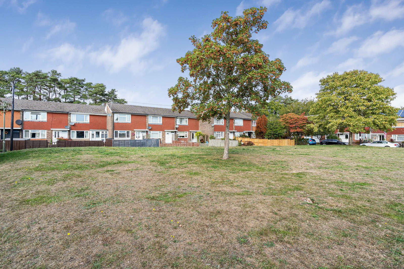 Sandy Hill Road, Farnham, Surrey, GU9, photo 13