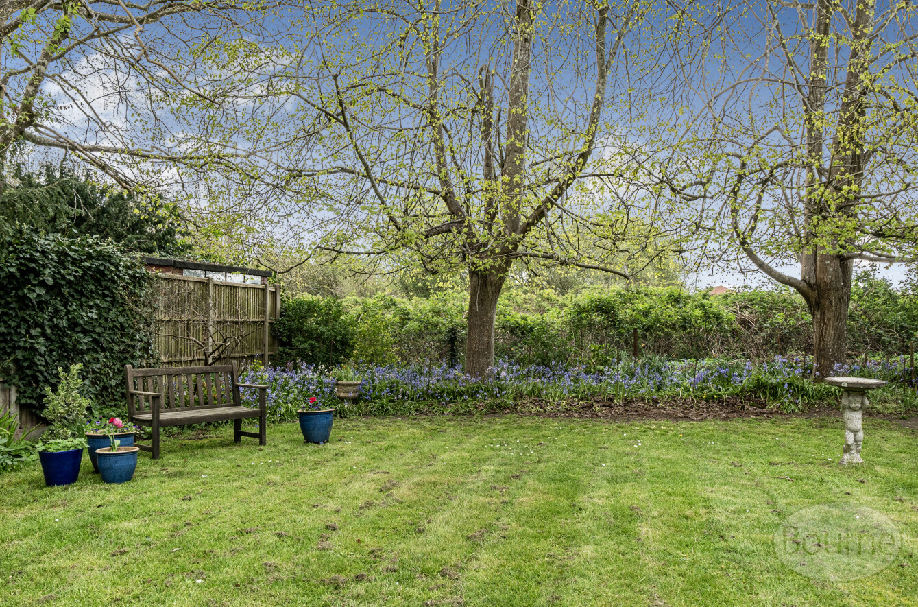 Glaziers Lane, Normandy, Guildford, Surrey, GU3, photo 31