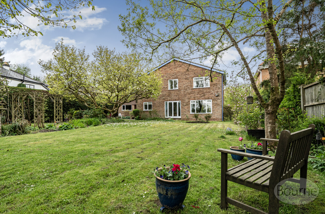 Glaziers Lane, Normandy, Guildford, Surrey, GU3, photo 12