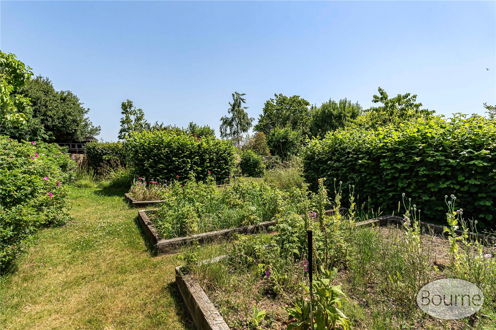 Bailes Lane, Normandy, Guildford, Surrey, GU3, photo 48