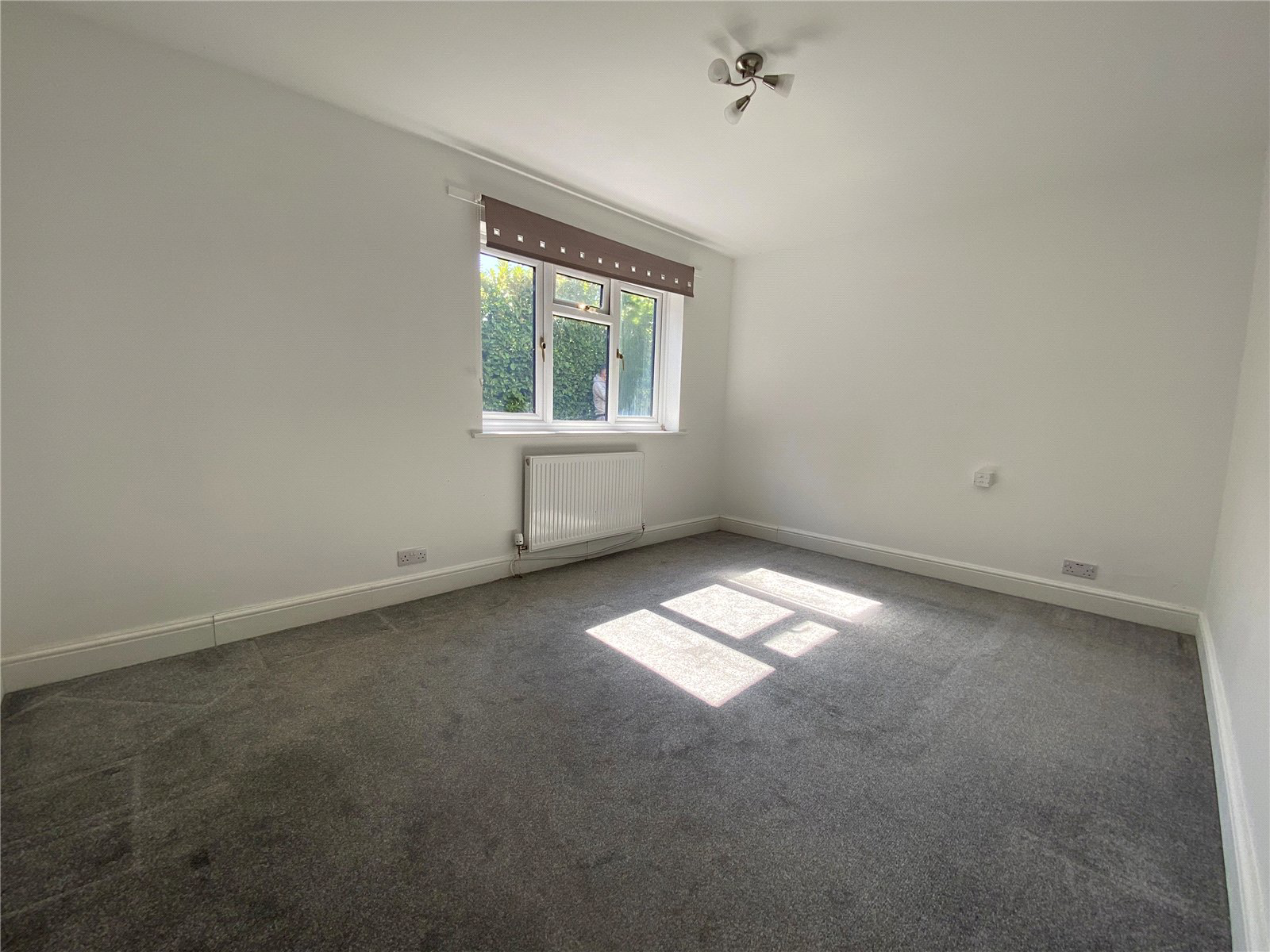 Ladycross, Milford, Godalming, Surrey, GU8, photo 6