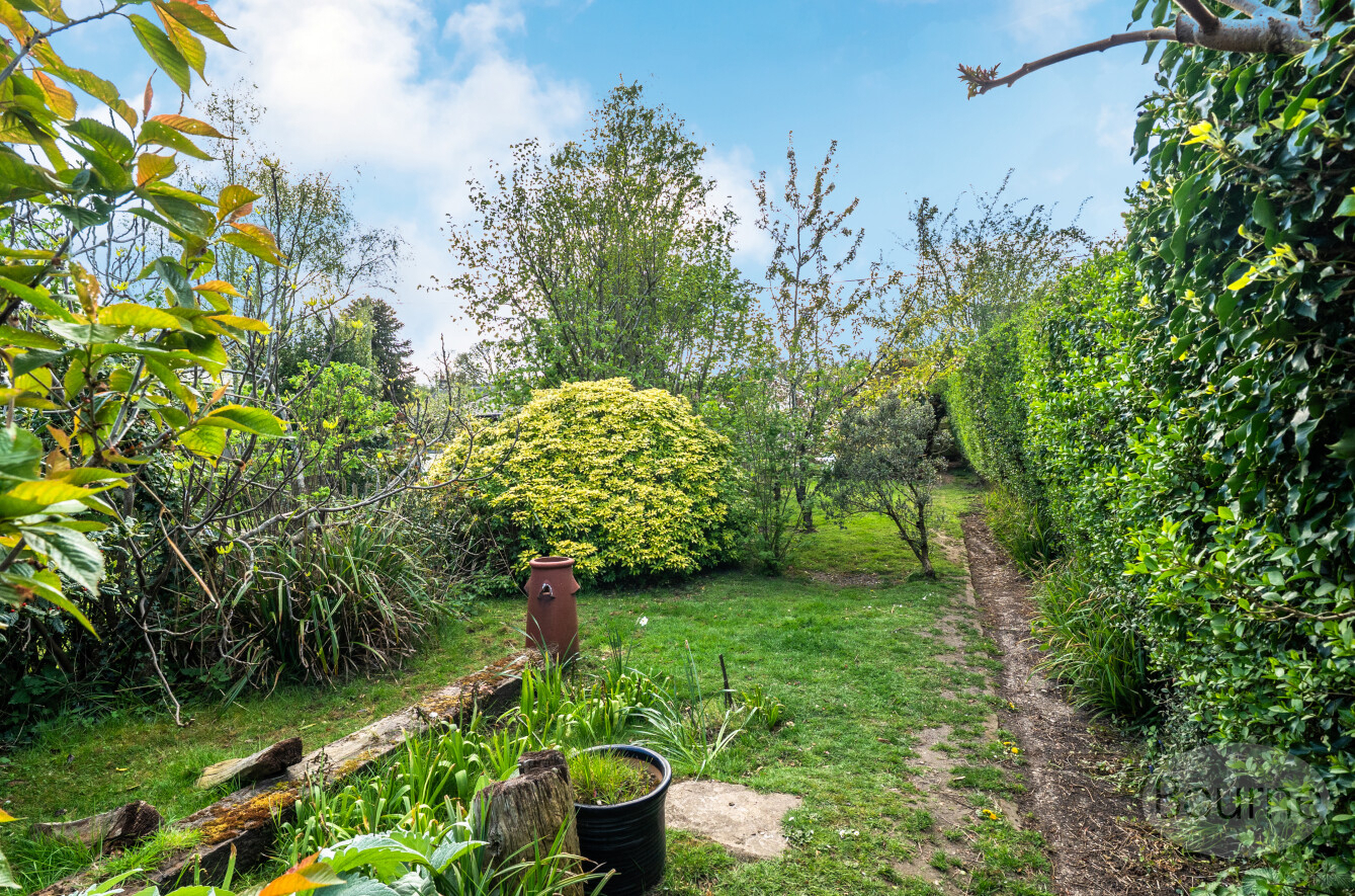 Main Road, Bucks Horn Oak, Farnham, Hampshire, GU10, photo 14