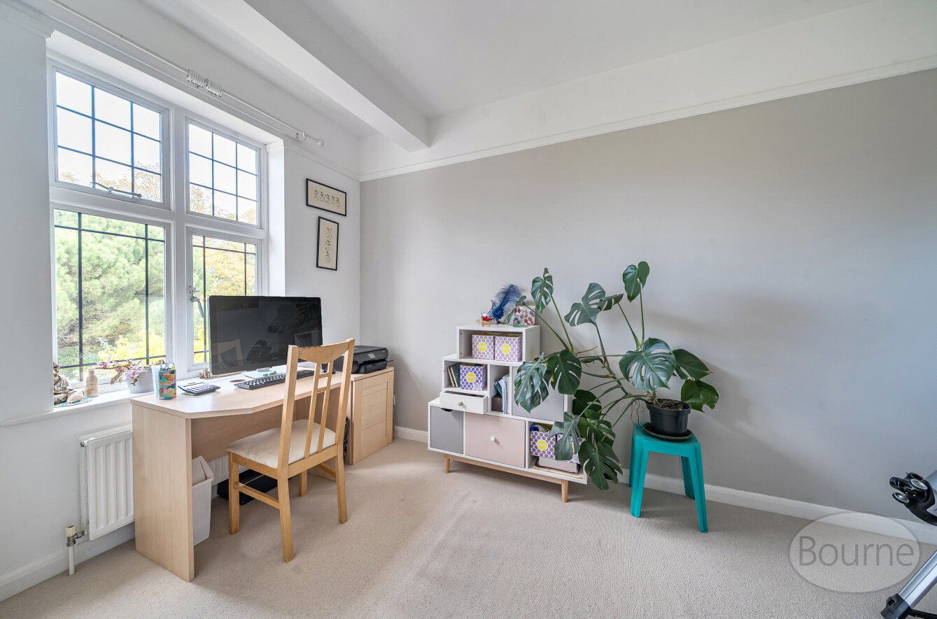 Broomleaf Road, Farnham, Surrey, GU9, photo 25
