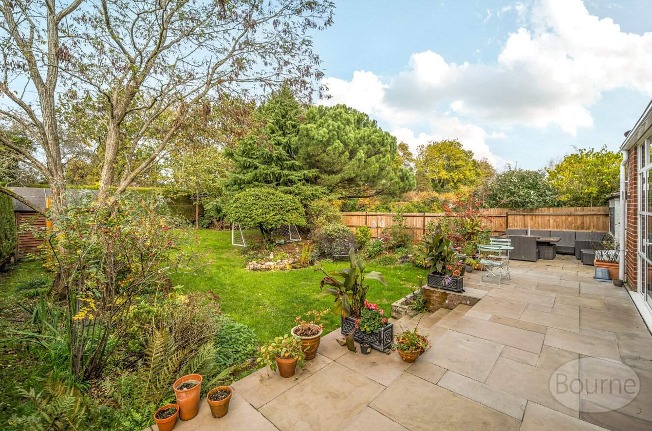 Broomleaf Road, Farnham, Surrey, GU9, photo 9
