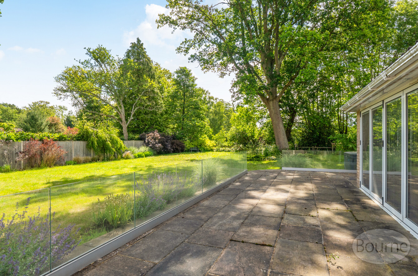 Silver Birches Way, Elstead, Godalming, Surrey, GU8, photo 11