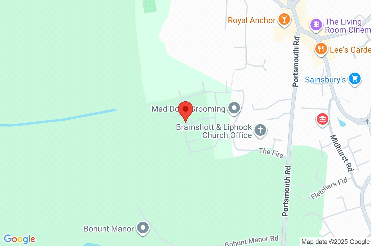 Rudgard Way, Liphook, Hampshire, GU30, photo 11