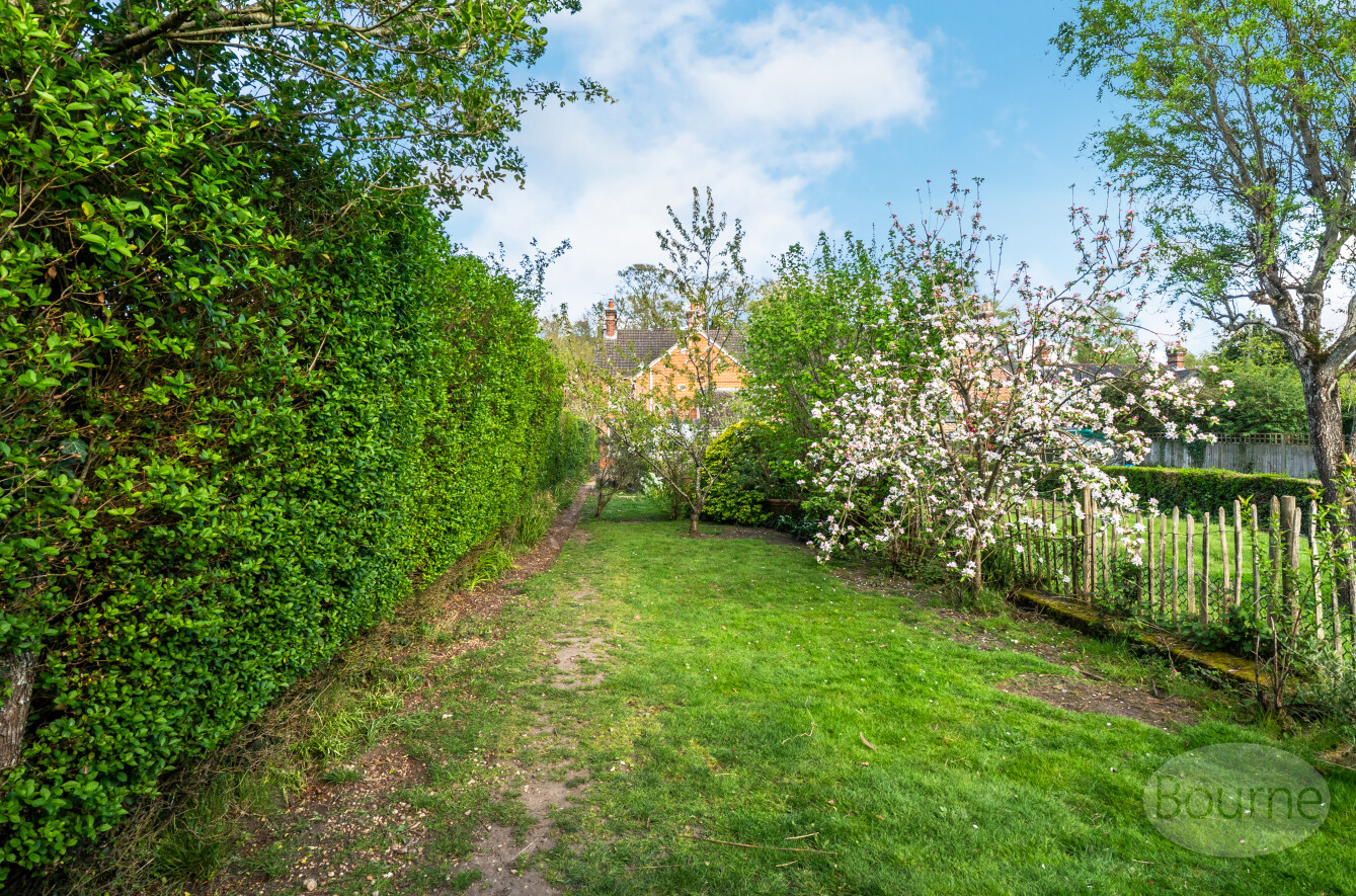 Main Road, Bucks Horn Oak, Farnham, Hampshire, GU10, photo 13