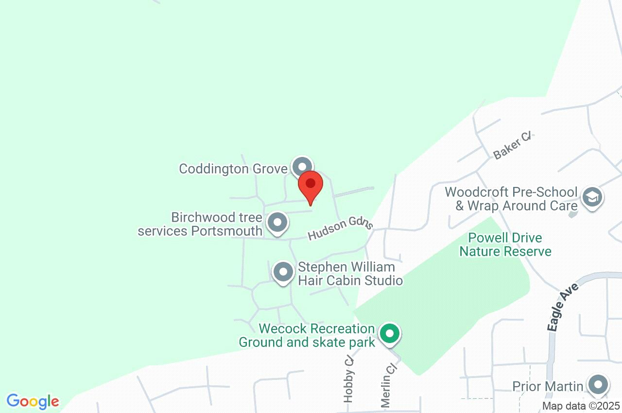 Coddington Grove, Waterlooville, Hampshire, PO8, photo 11