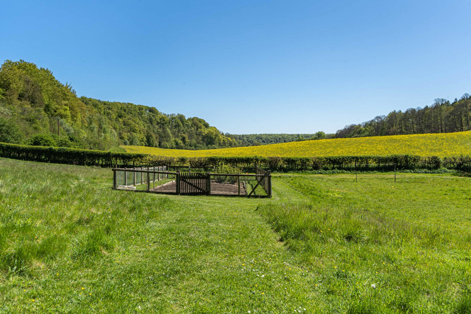 Basingstoke Road, Shalden, Alton, Hampshire, GU34, photo 40