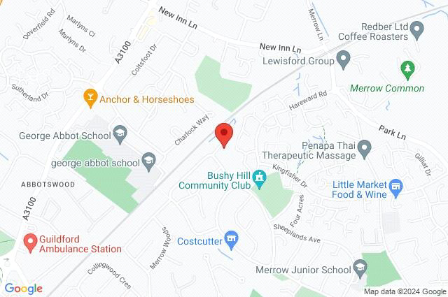 Great Goodwin Drive, Guildford, Surrey, GU1, photo 19