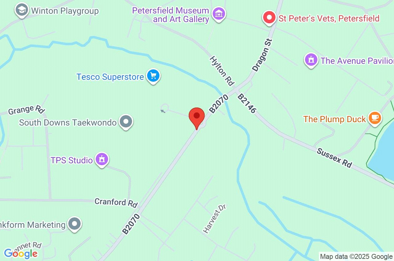 The Causeway, Petersfield, Hampshire, GU31, photo 12