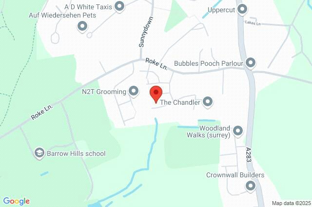 Middlemarch, Witley, Godalming, Surrey, GU8, photo 19