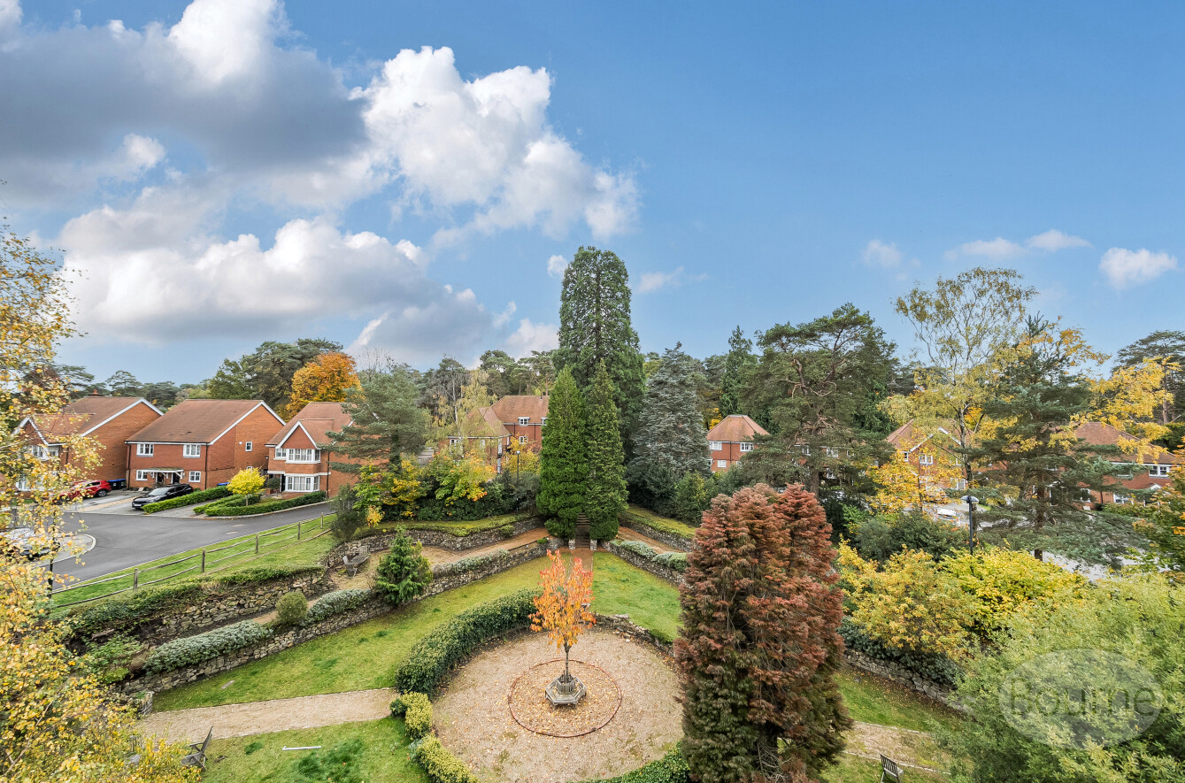 Swallowtail Grove, Frimley, Camberley, Surrey, GU16, photo 18