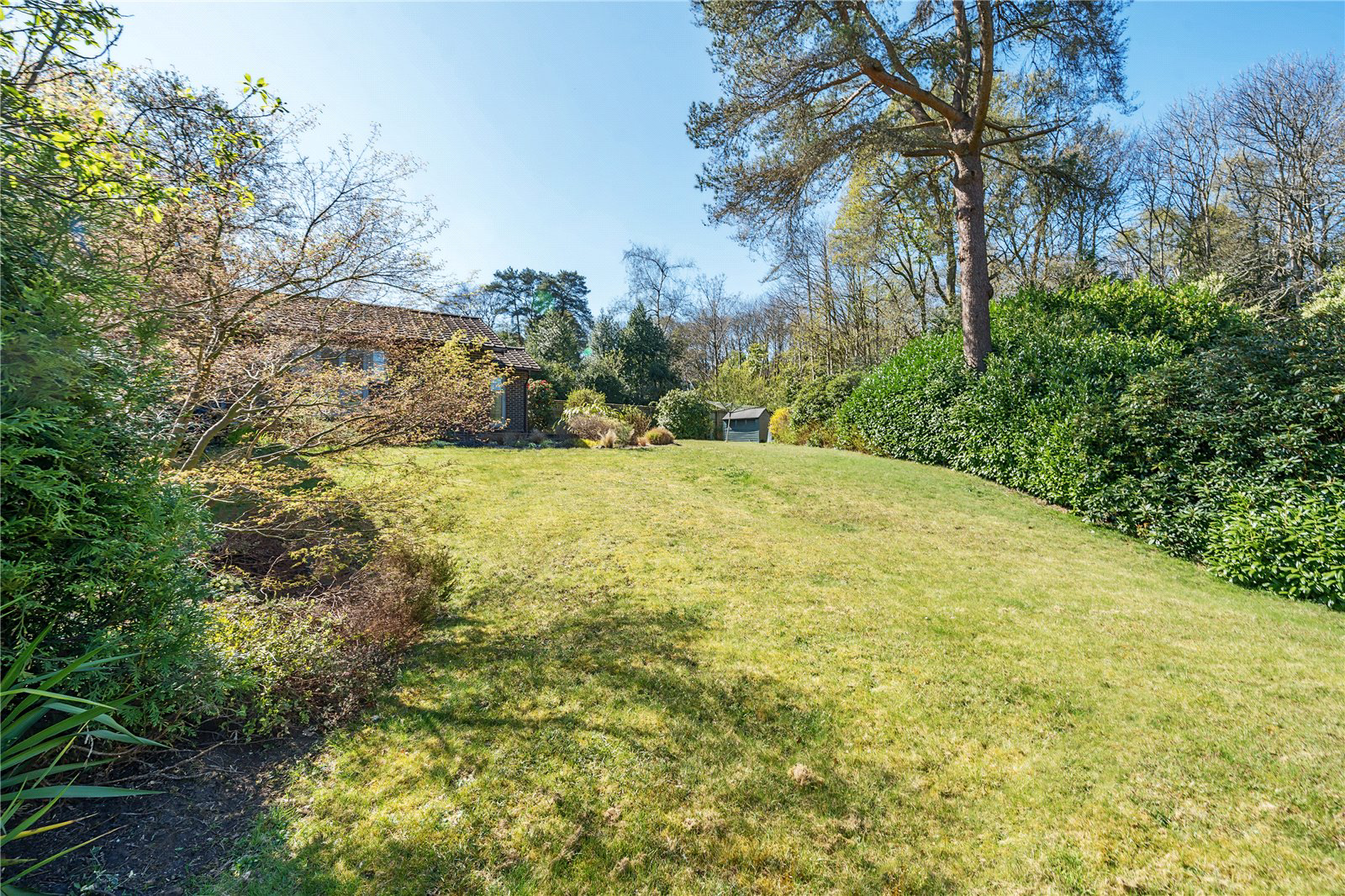 Hill Brow, Liss, Hampshire, GU33, photo 17