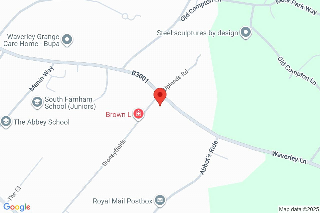 Google Maps Image
