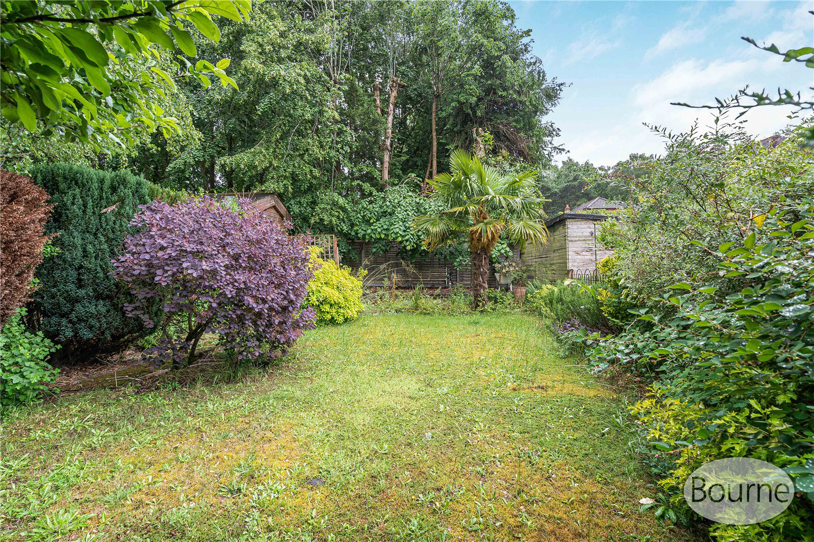 Connaught Road, Brookwood, Woking, Surrey, GU24, photo 18